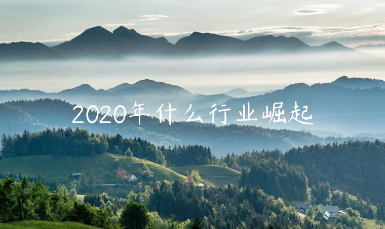 2023年什么行業(yè)崛起